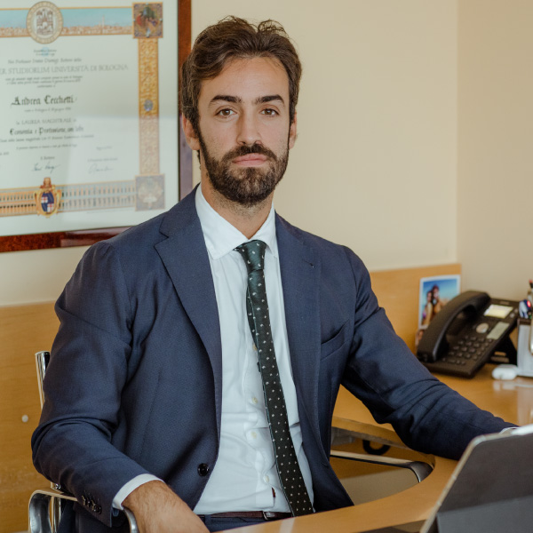 Dottore Commercialista e Revisore Contabile Data Protection Officer Anrdrea Cecchetti
